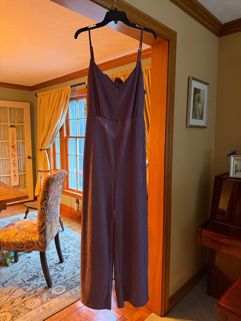 Lulu's Deep Purple Smocked Pant Suit